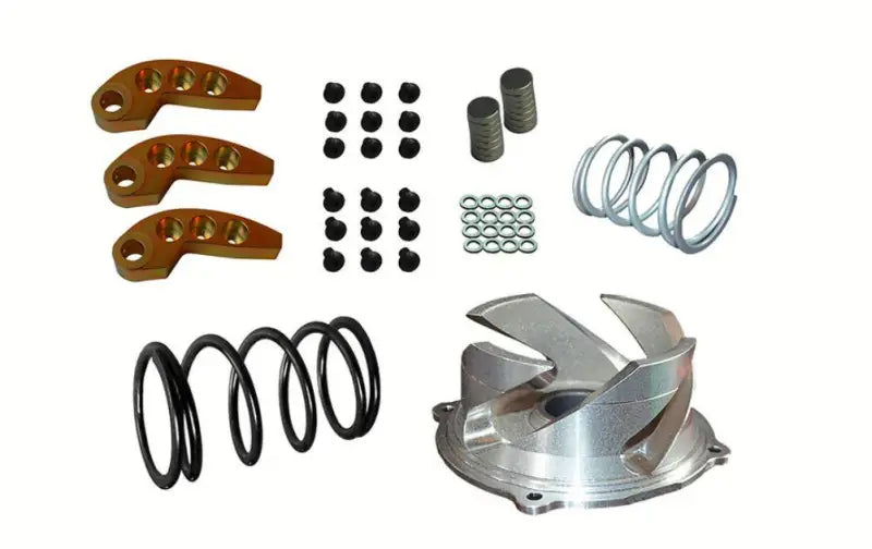 123-144 Straightline Clutch Kit Pol 850 121-136 0-3000 Ft S/M wps-241-25303