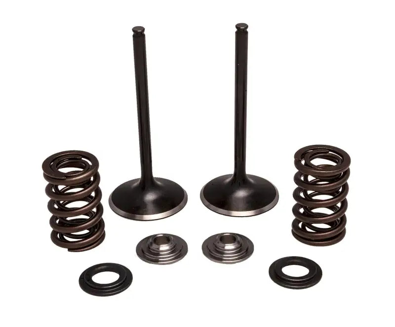 30-33200 Kpmi Intake Valve/Spring Kit Stainless Steel wps-191-41009