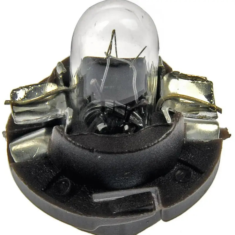 639-006 Dorman Interior Bulb d18639006