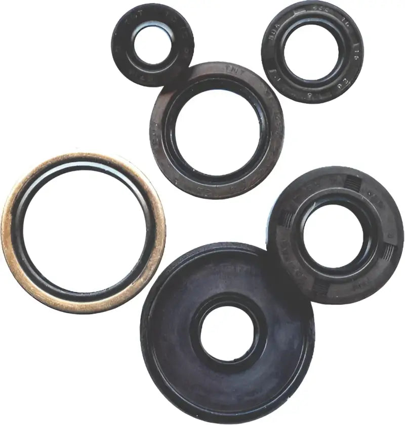 822208 Oil Seal Set wps-182-2208