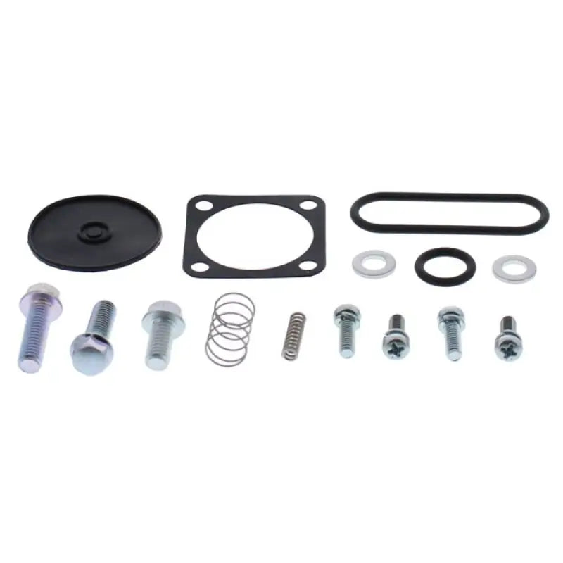 All Balls 60-1309 Diaphragm Repair Kit wps-229-1591