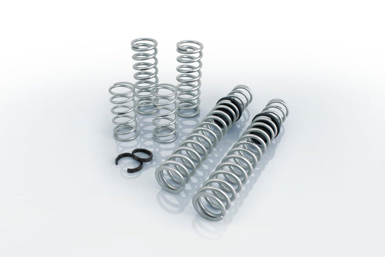 Eibach Pro-UTV 14-16 Polaris RZR XP 4 1000 EPS Stage 3 Performance Springs