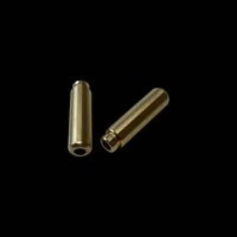 Brian Crower Exhaust Valve Guides - Aluminum/Bronze - Polaris XP1000 / XPTurbo bc3965-e