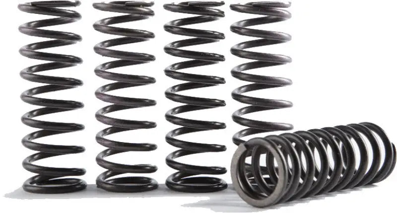 CS189-6-0613 High Tempurature Spring Kit wps-151-6319