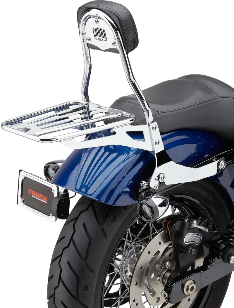 Detachable Backrest Rack for Dyna Models 82-96530