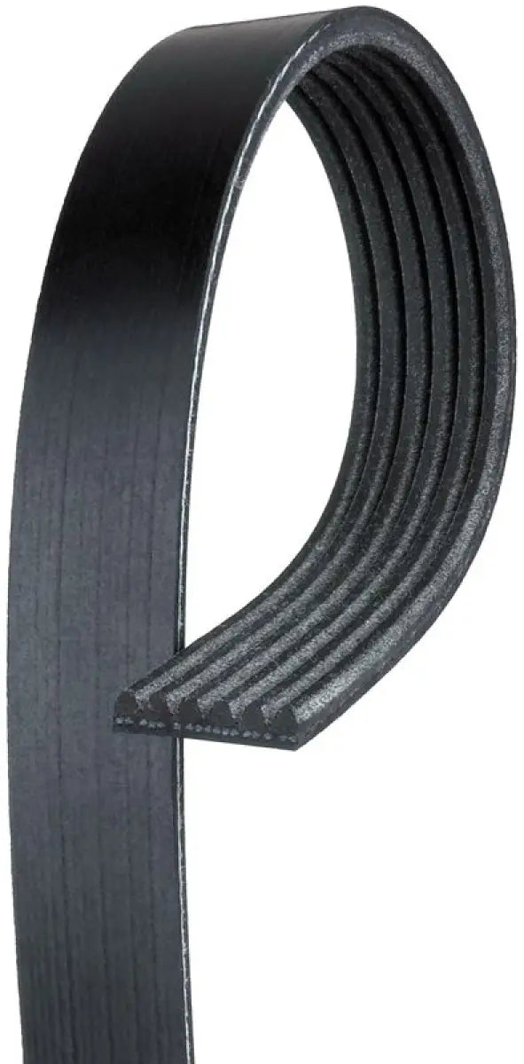 Gates Corp K081265 V-Ribbed Belt grck081265