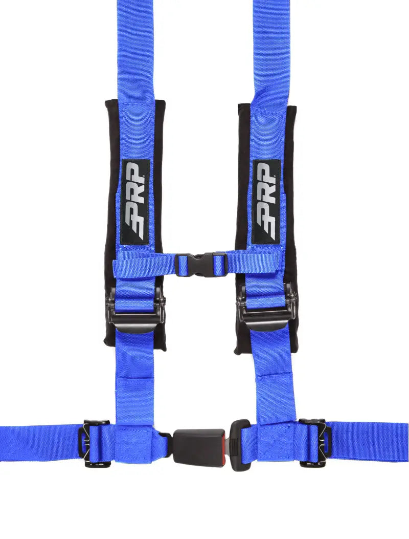 PRP 4.2 Harness- Blue prpsbauto2b