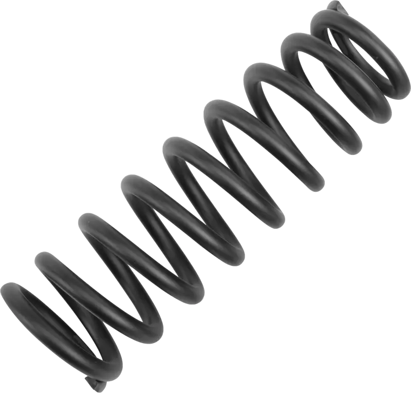 R3050087-3 Racing Brothers Touring Mono/-R Std Spring 200Mm/19.3 X 130 wps-890-01120