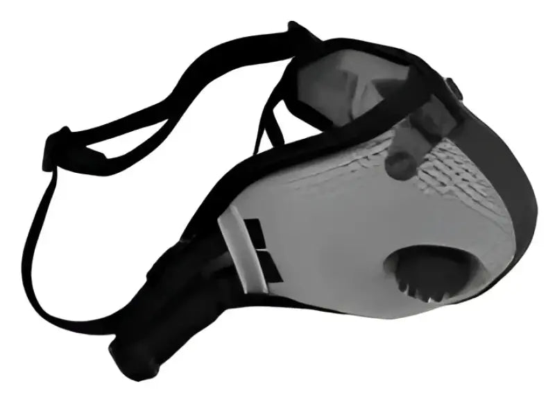 Rz Mask Md M2.5 Mesh Titanium wps-865-01034