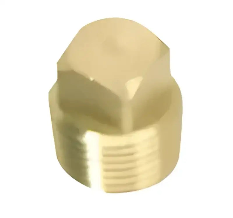 S-5052C Whitecap 1/2' Brass Plug Only w7es5052c