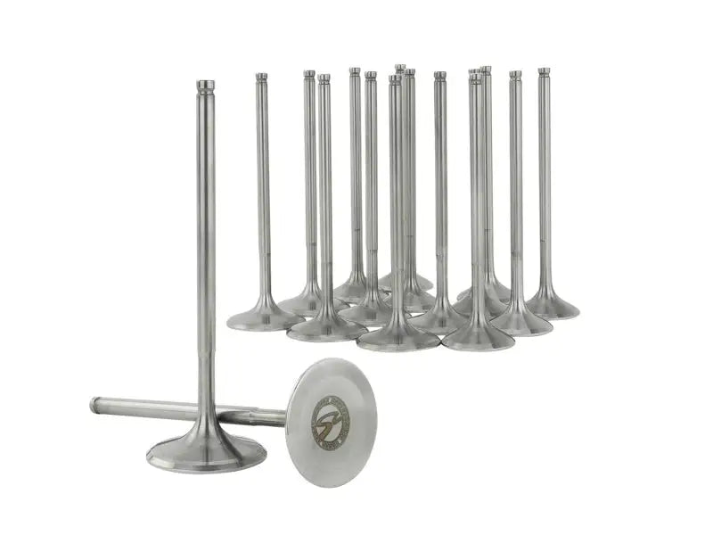 Skunk2 Ultra Series Honda/Acura Stock Size K Series VTEC Valve Set (STD Compression) skk310-05-9535