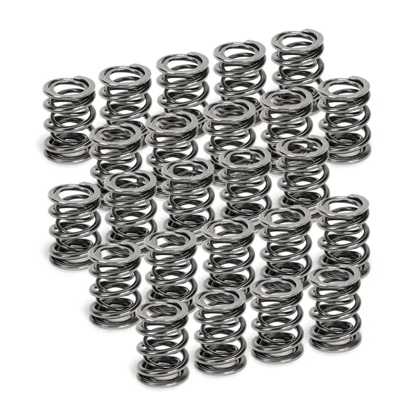 Supertech BMW M50/M52/S50/S52 Dual Valve Spring - Set of 24 sptspr-h1005d-24