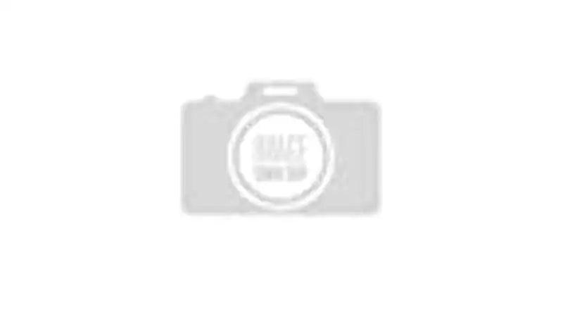 WA9861 Wix Filtr Ld Air Filter w68wa9861