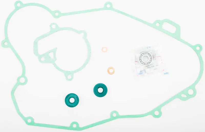 Water Pump Repair Kit W/Bearings Ktm wps-67-25114